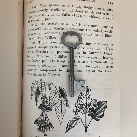 🗝️Antique Vintage Skeleton Key Pendant - Picture 3 of 10